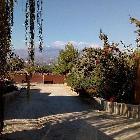 House Veggera - Private Swimming Pool Guest House Pombia Exterior photo